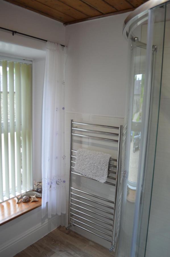 Troedyrhiw Bed & Breakfast Cardigan Kültér fotó