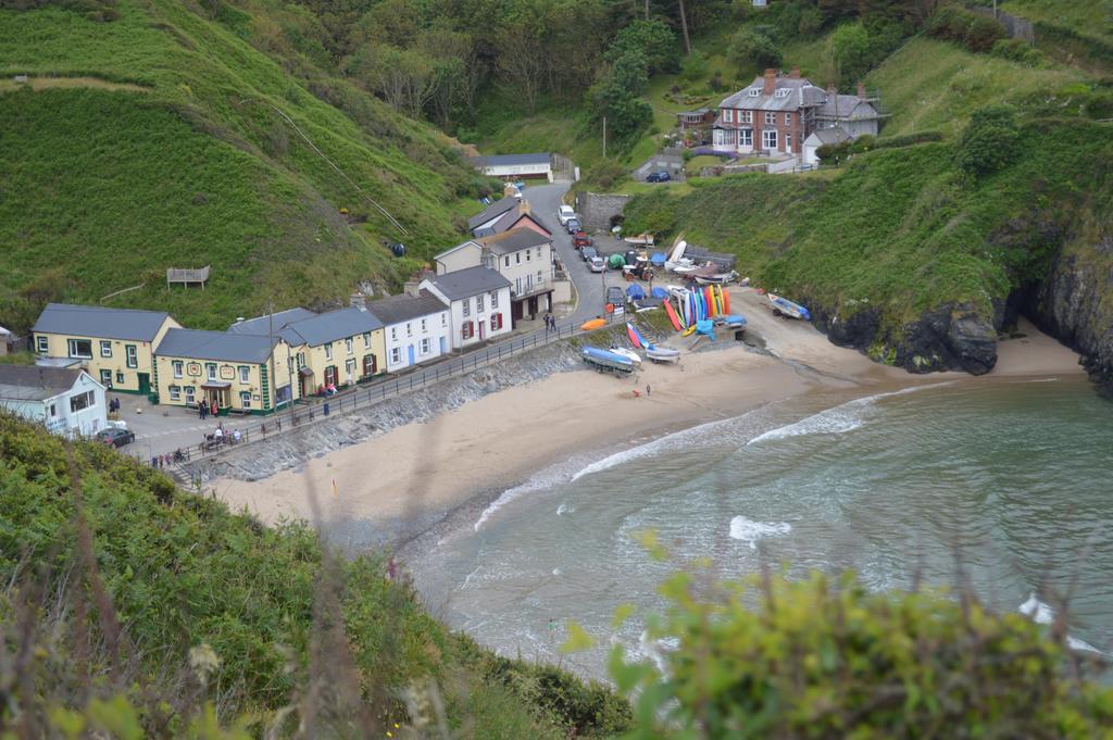 Troedyrhiw Bed & Breakfast Cardigan Kültér fotó